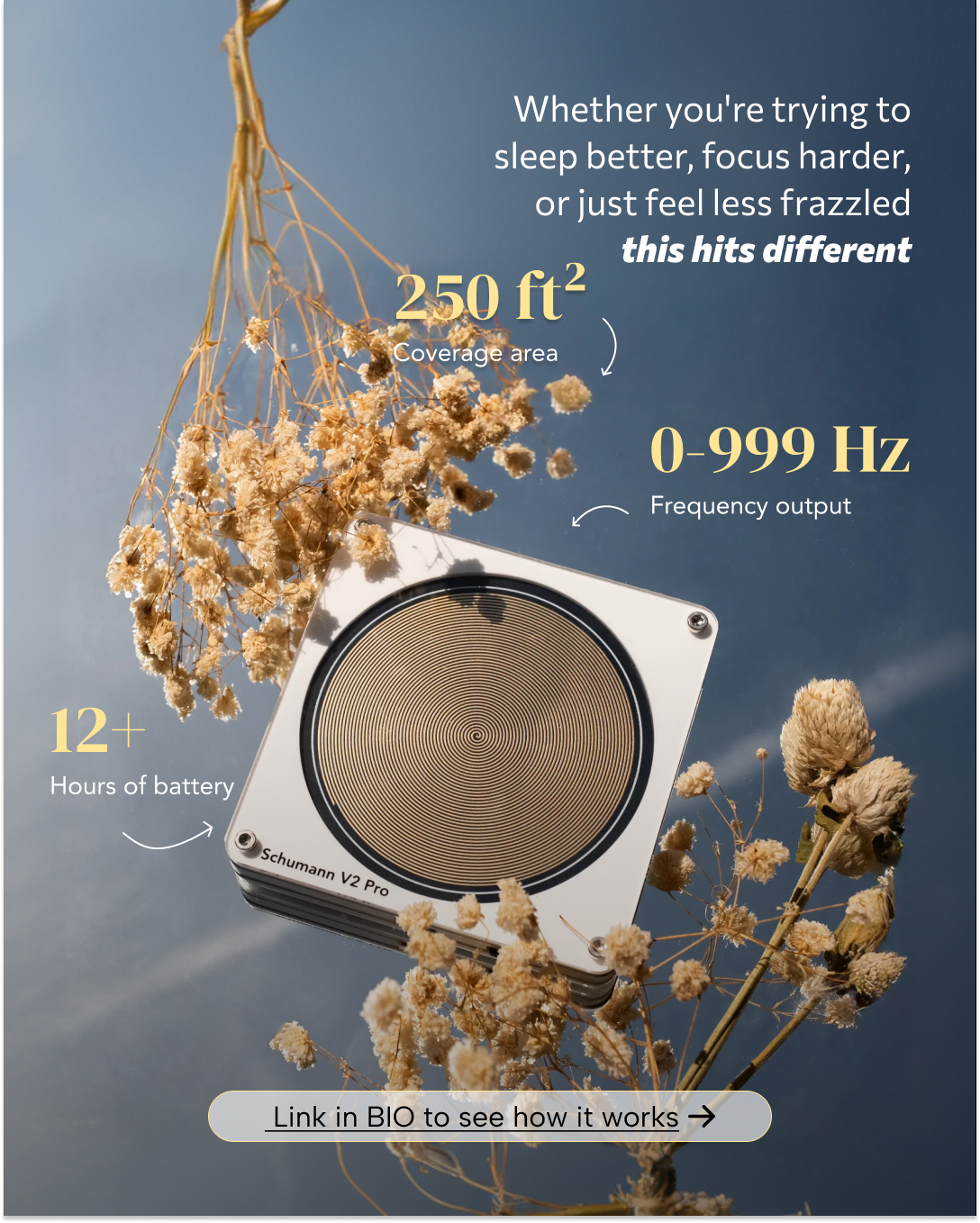 The Schumann brand visual